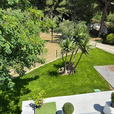 Casa At The Of The Hill Vila *